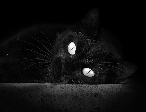 MILANSPORT入口-中国女篮全力冲刺赛季冠军 力争最佳成绩，中国女篮夺得冠军