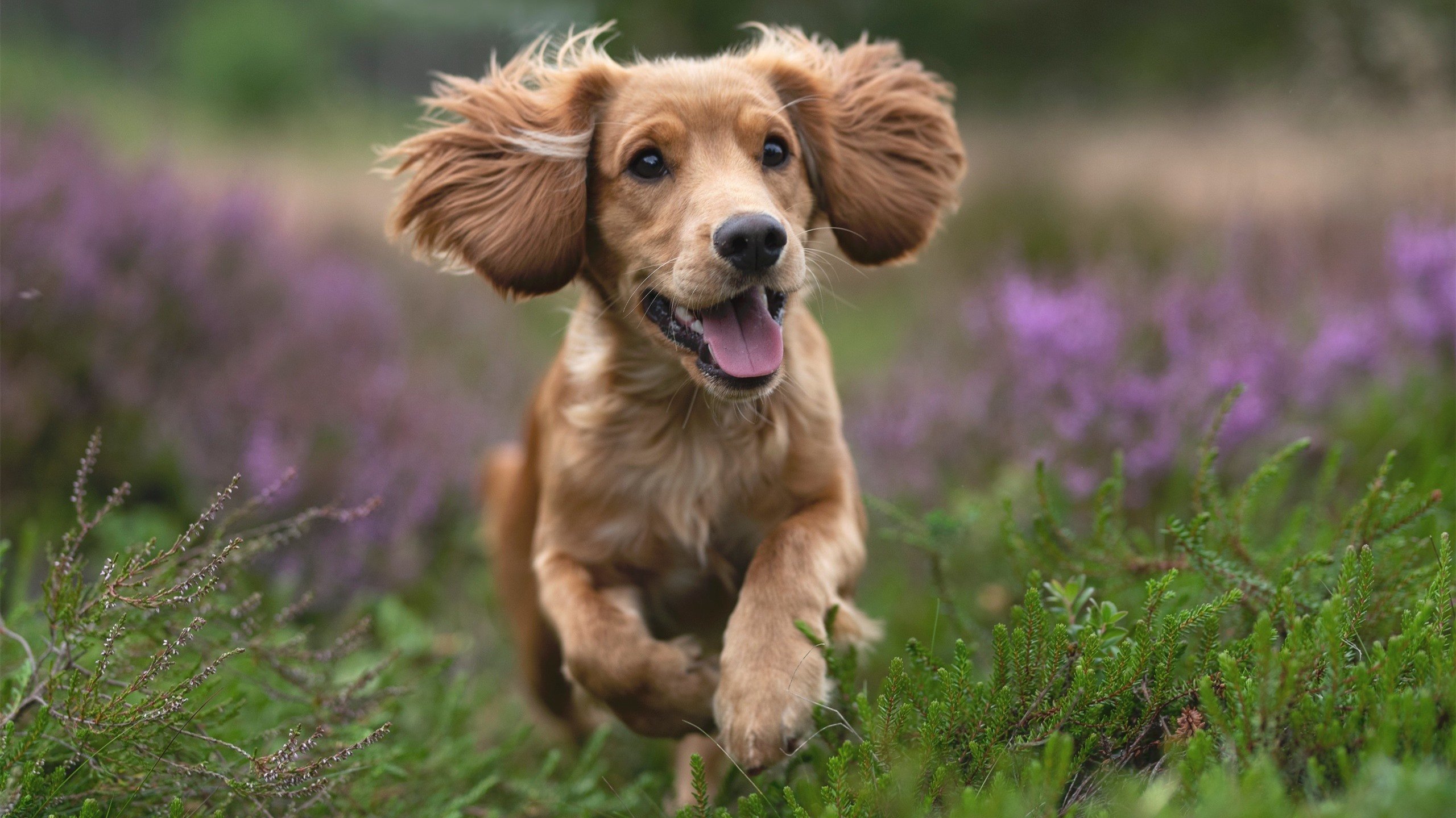 MILANSPORT入口-中国男篮强化控球能力 控制比赛节奏，中国男篮强化控球能力 控制比赛节奏是多少