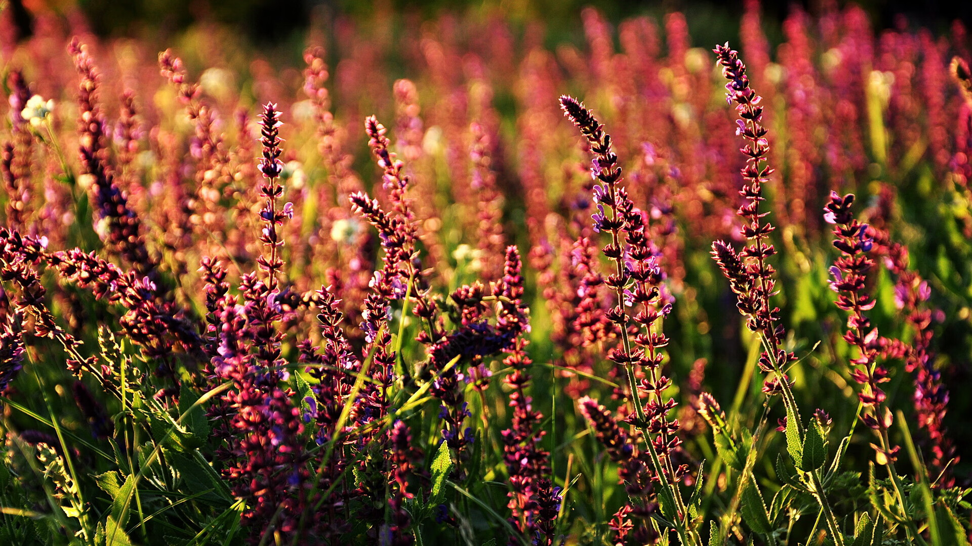 MILANSPORT入口-中国男篮强化控球能力 控制比赛节奏，中国男篮强化控球能力 控制比赛节奏是多少