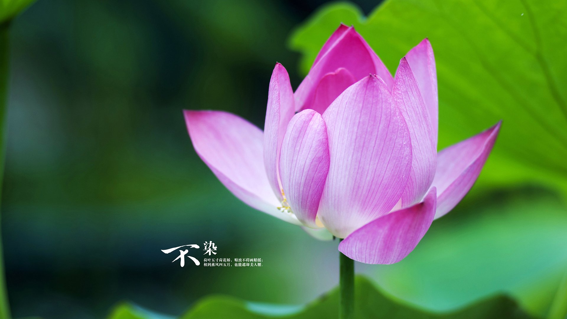 米兰登录入口-五大联赛是否增加中场球员对抗前预判数据训练，五大联赛中场排行