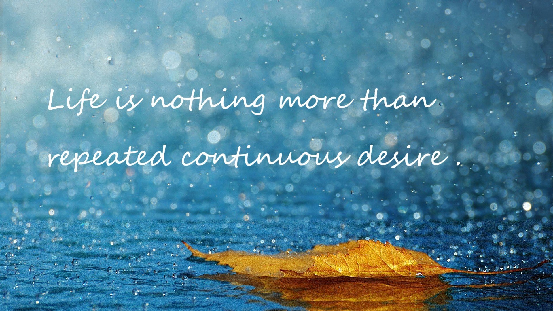 MILANSPORT入口-俱乐部运营缺少品牌意识建设，俱乐部发展存在的问题