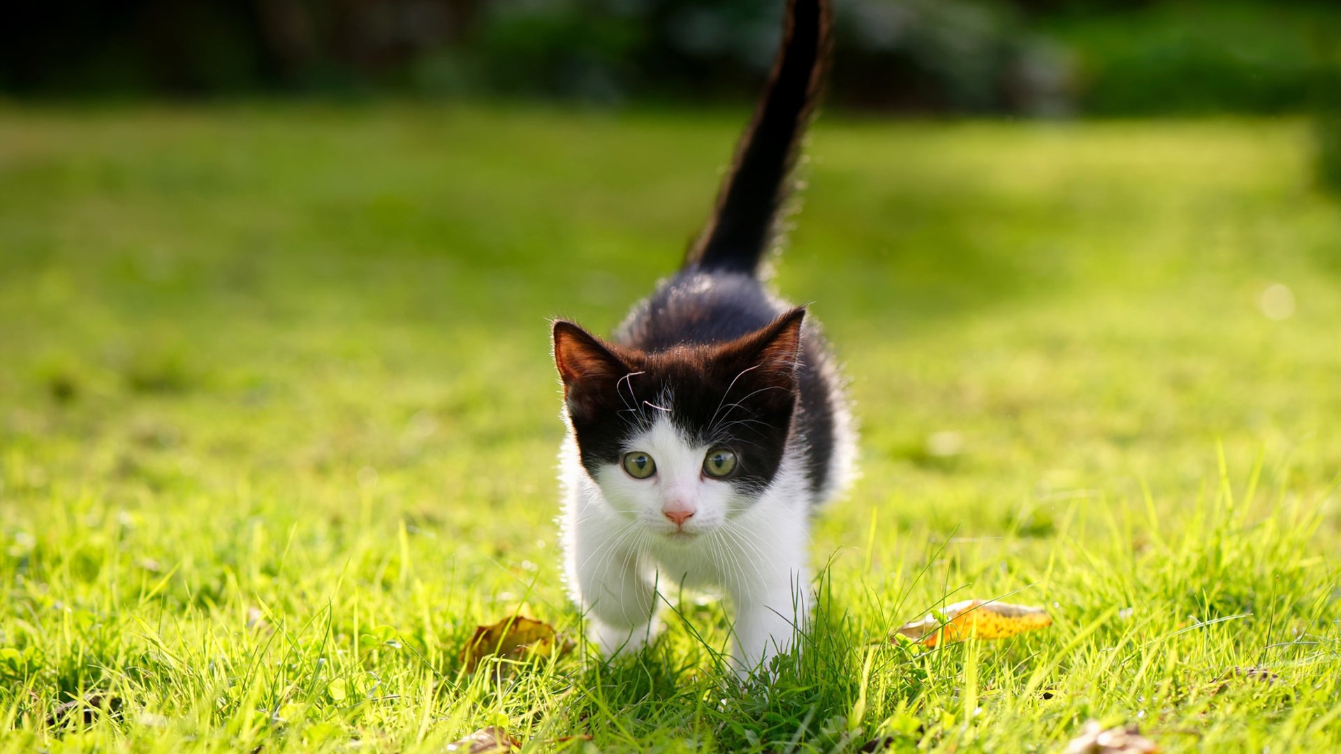 米兰体育官网-控球球队是否更易暴露在被断球反击风险之中，控球总是被断