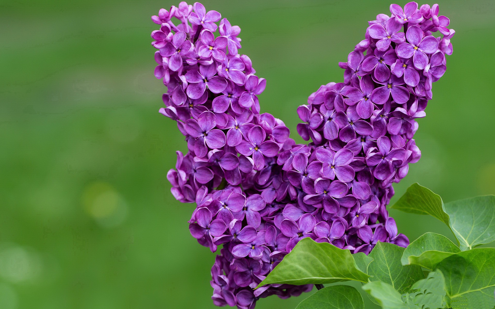 米兰登录入口-曼城全场控球主导打出压倒性表现，曼城踢什么阵型