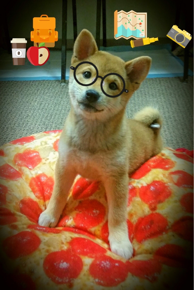 MILANSPORT下载-自由式滑雪营养补给研究成果首次发布，自由式滑雪资料