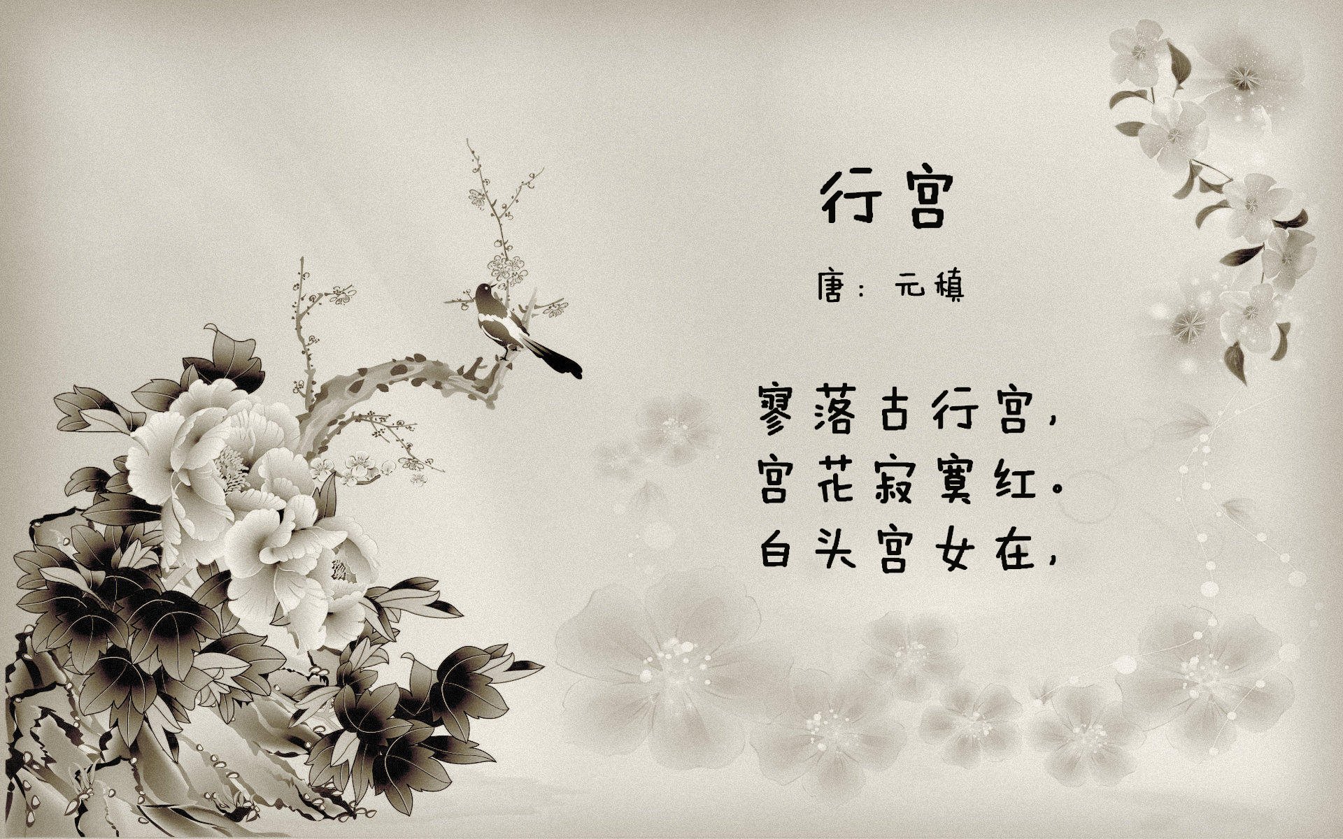 米兰体育APP-“阿根廷美洲狮队的未来充满希望：强大阵容迎接挑战”