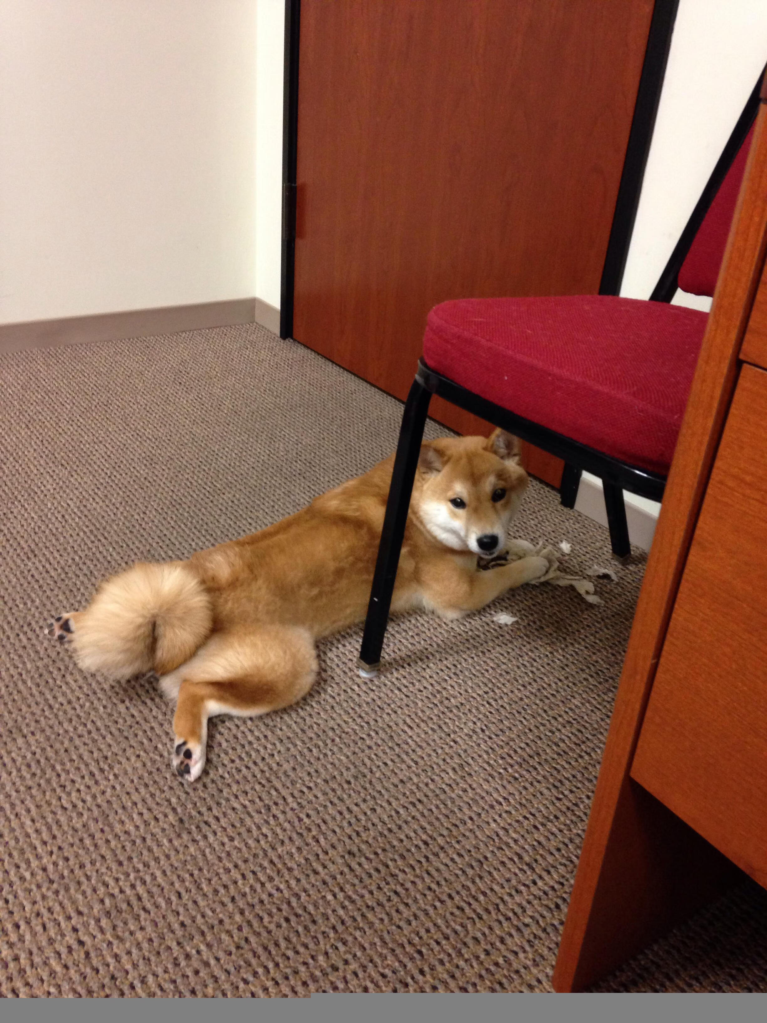 -丁俊晖分析失利关键称未发挥最佳，丁俊晖现象