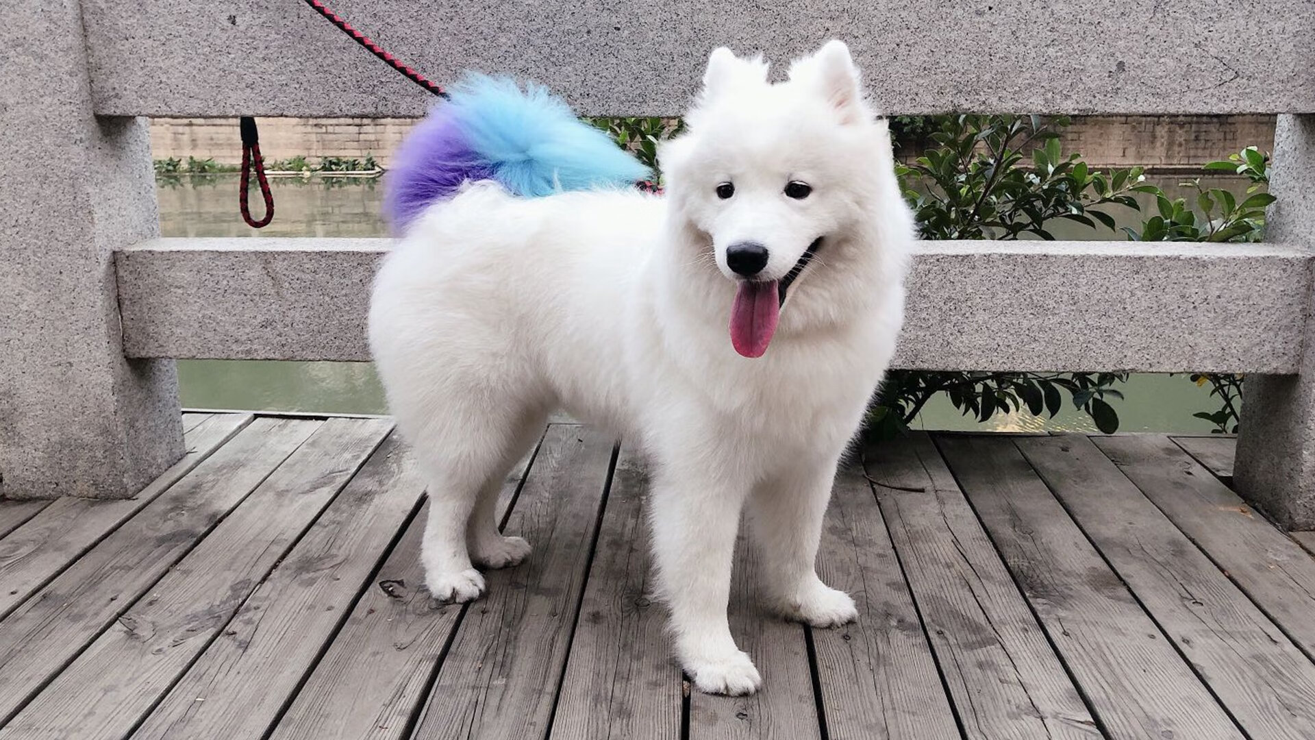 米兰体育APP-俱乐部社区活动频繁积极履行社会责任建立良好形象，社区俱乐部是干嘛的