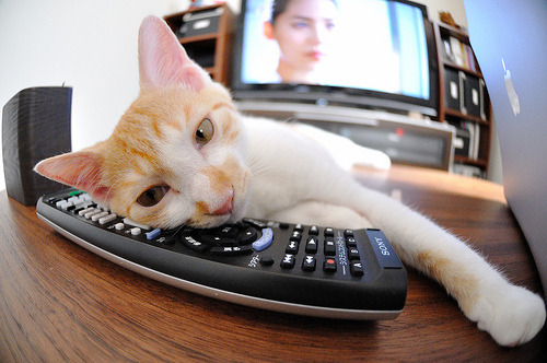 米兰登录入口-国际拳击锦标赛激烈对决，国际拳击规则  第2张