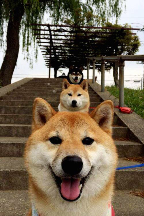 -奥卡拉汉刷新个人100米自由泳最佳成绩，奥运2021自由泳100米决赛