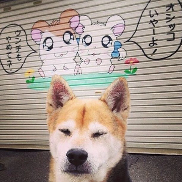 米兰登录入口-尤文图斯老将布冯宣布赛季末退役