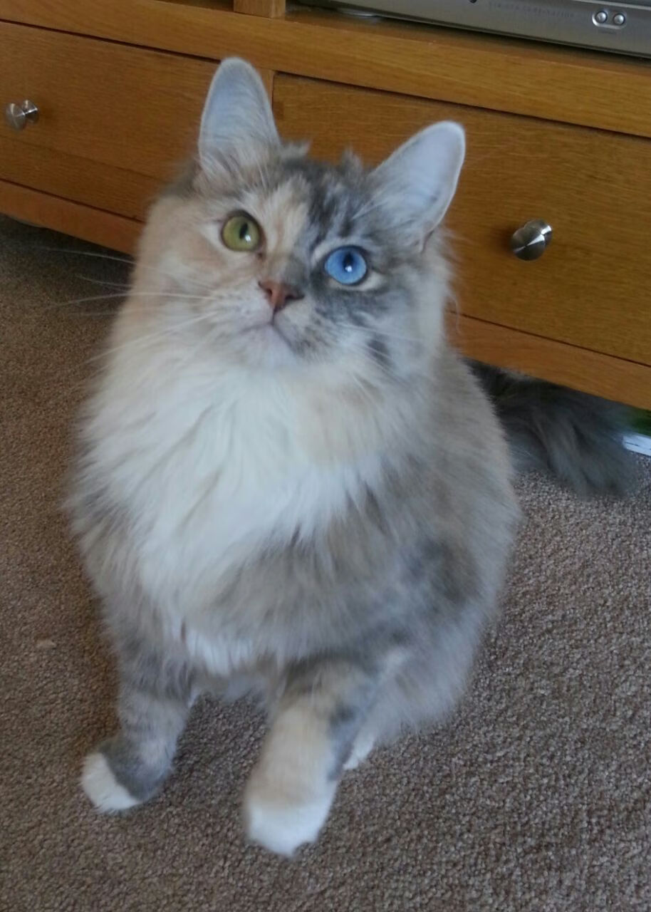 米兰体育-教练团队更新助力男队转型，教练带队