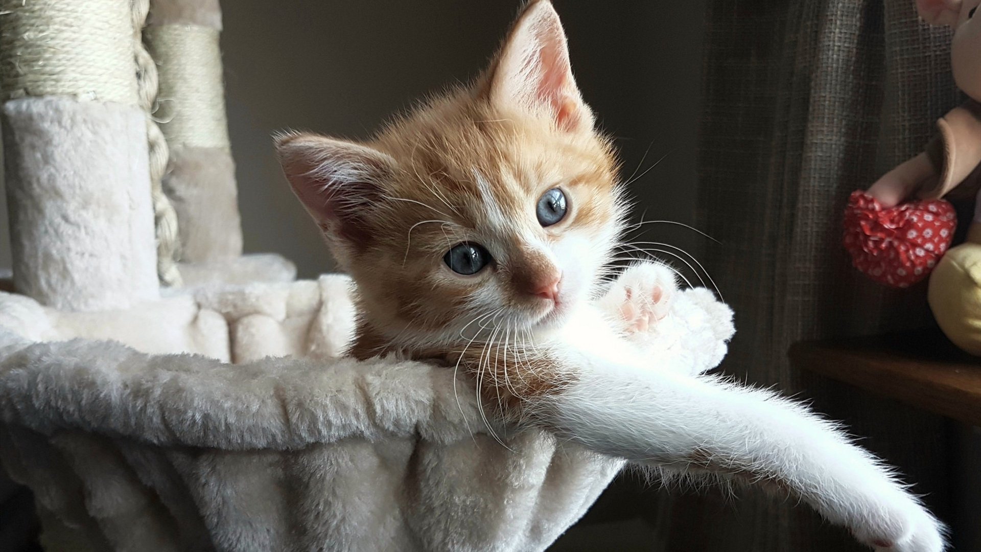 AC米兰-欧洲杯新星崭露头角：未来之光闪耀全场，2021欧洲杯猜想