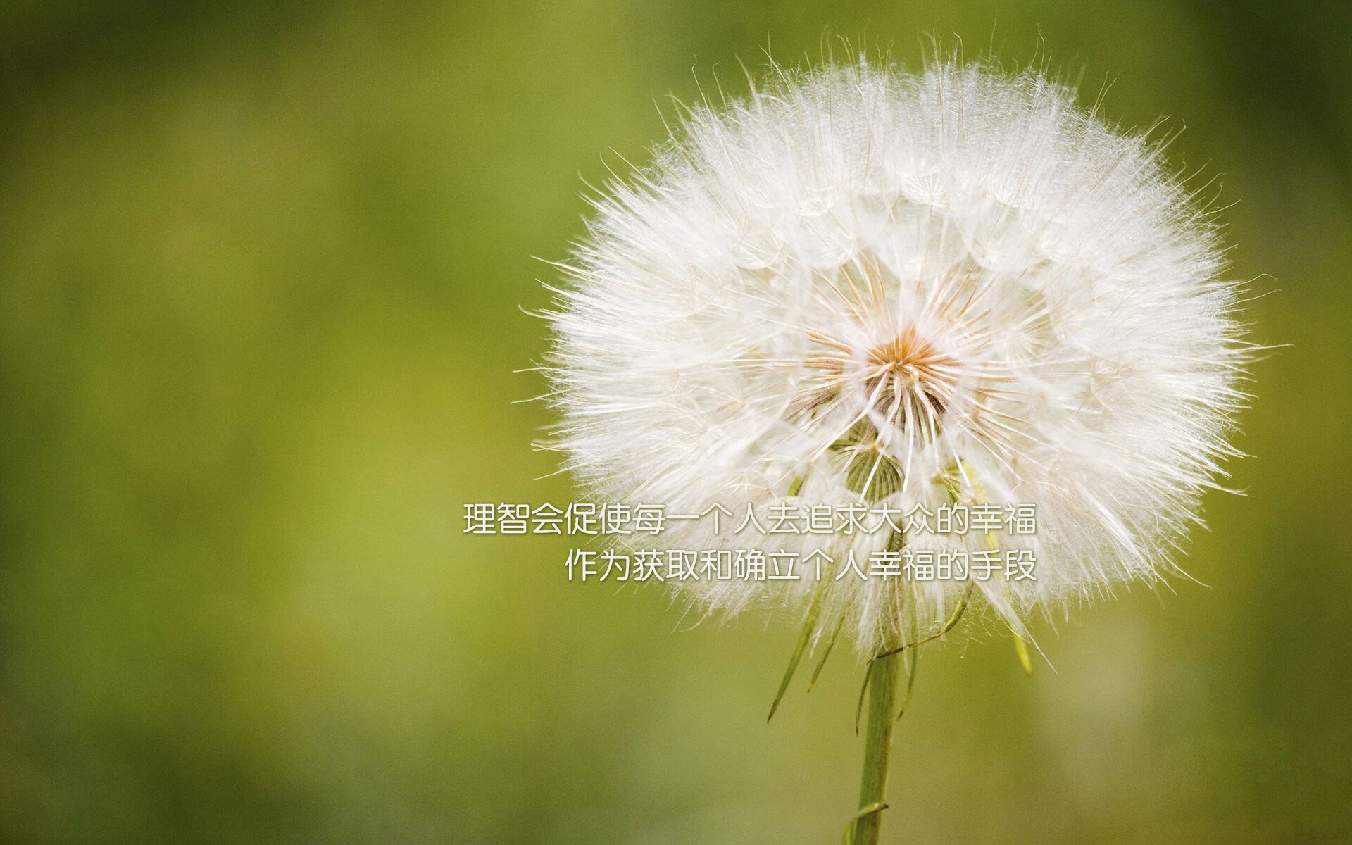 米兰体育-欧洲杯资格赛爆出冷门，传统强队遭淘汰，欧洲杯资格赛爆出冷门,传统强队遭淘汰