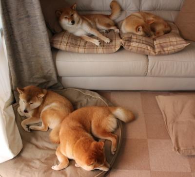 -法甲未来之星：新人成长迅速！，2020足球未来之星