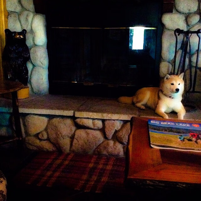 米兰体育APP-男子篮球强化个人突破提升进攻威胁，篮球强行突破