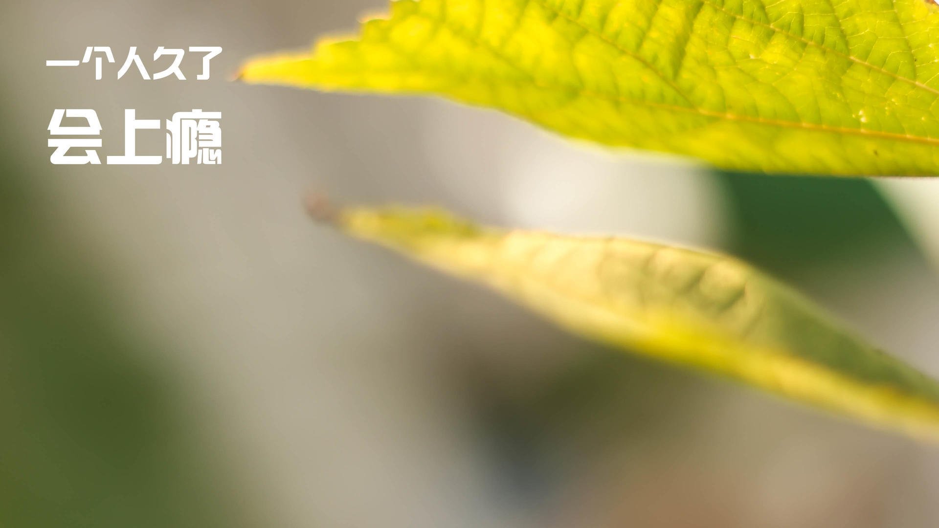 Milan Sports-英超冠军宝座争夺：悬念持续，精彩不断！，英超冠军列表