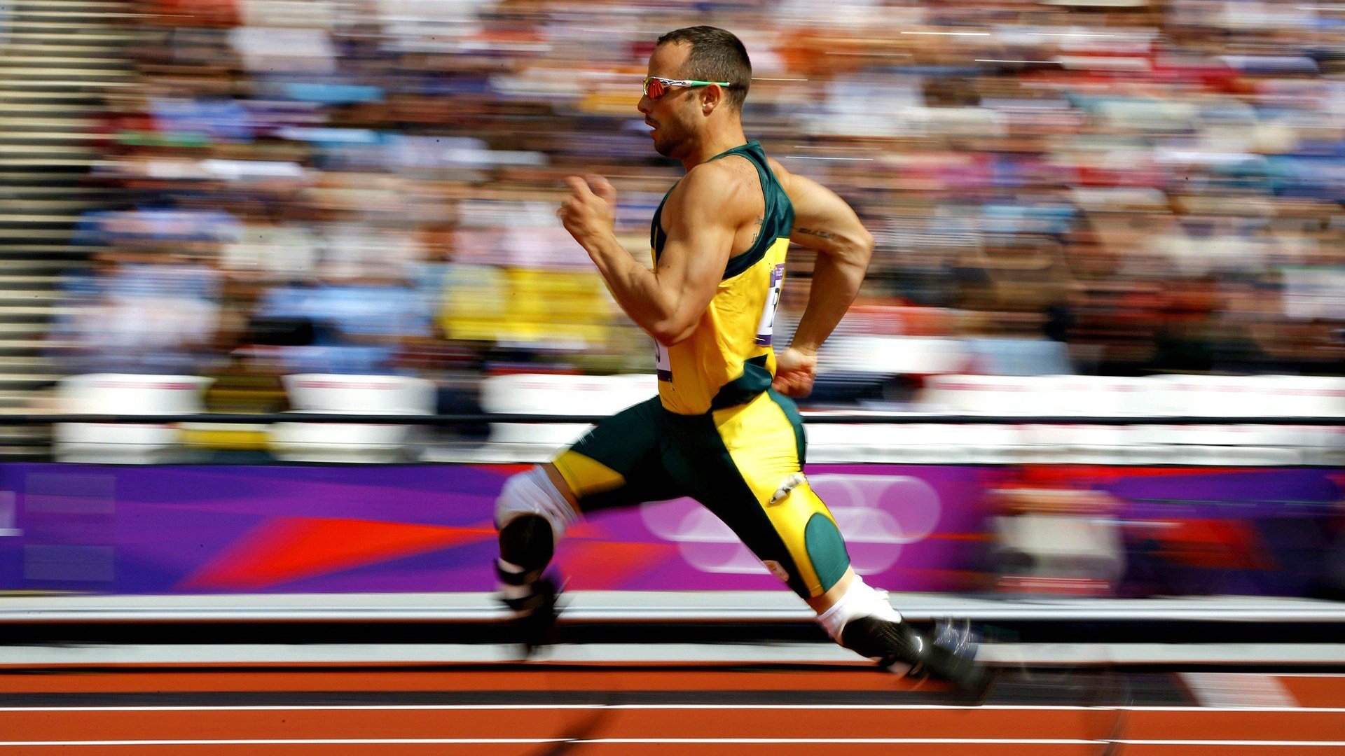 今日体育赛事专家预测分析，今日体育赛程